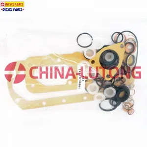 ve Injection Pump Seal Kit 2 417 010 001 4bt ve Pump Rebuild Kit thumbnail-4