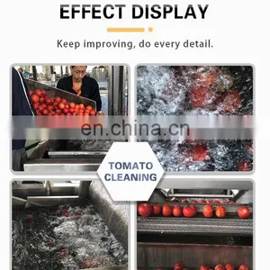 Industrial Vegetable Cleaning Machine Vegetable and Fruit Washing Machine thumbnail-3