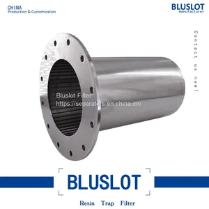 Demineralizers Resin Trap Filter Strainer For Sales - Bluslot thumbnail-1