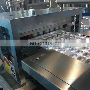 Multi-functional Small Automatic PVC Blister Packaging Machines thumbnail-3