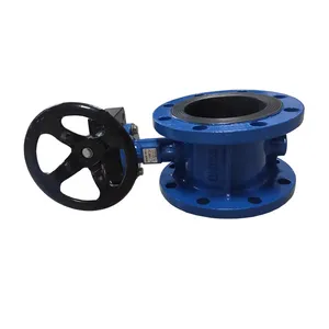 Flow Control Flange Type Double Eccentric Offset Ductile Iron 4 Inch Turbine Butterfly Valve With Worm Gear thumbnail-5