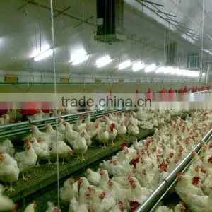 Light Steel Prefab Farm House for Chicken thumbnail-2