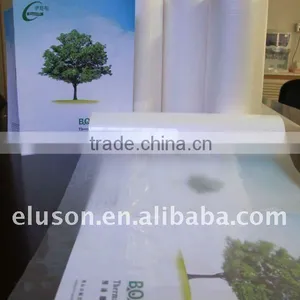 Chinese PET Lamination Film Roll, PET + EVA Thermal Lamination Film Matt & Glossy thumbnail-2