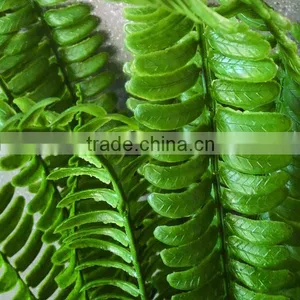 Wholesale Cheap Plant Artificial Plant With Fragrance for Pot Culture thumbnail-1