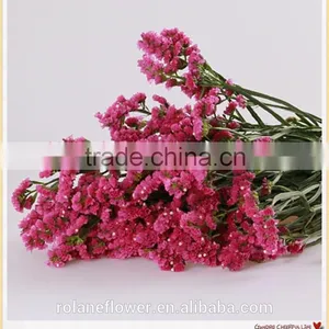 Forget me Not Flower to Make Flower Bouquets thumbnail-4