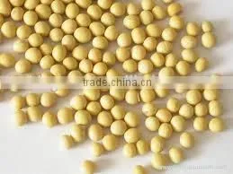 New Crop Yellow Soybeans With Good Quality for Sale thumbnail-4