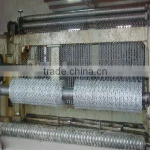 Chicken Coop Galvanized Wire Mesh thumbnail-1