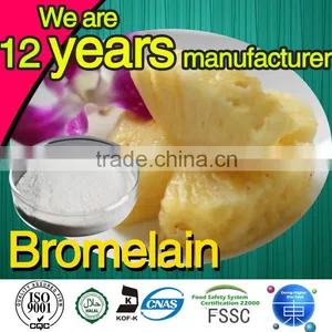 China Professional Pineapple Extract Manufacturer Plant Extract Pineapple Extract Powder thumbnail-1