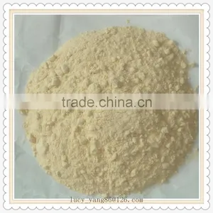 Garlic Powder Garlic Powder Processing Plant thumbnail-1