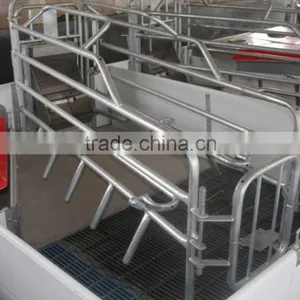 Pig Farrowing Crate thumbnail-1
