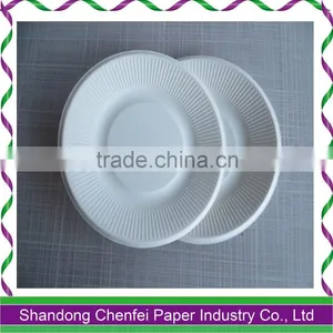 2016 One-off Bagasse Paper Plate and Paper Dish for Sale thumbnail-1