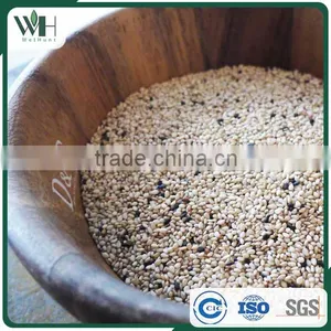 Reliable Pakistan White Sesame Supplier thumbnail-2