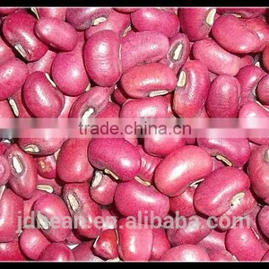Crop 2014 Red Cowpea Beans thumbnail-1