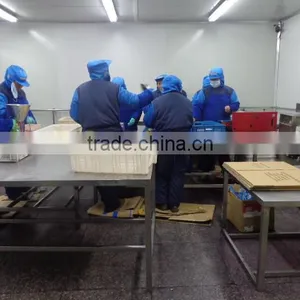High Quality Freezing Process Frozen IQF Broccoli Florets thumbnail-4