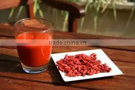 Goji Concentrated Juice Wholesaler thumbnail-1