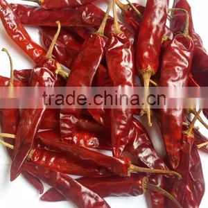 Indo- 5 Chilli/US- 5/Endo 5 Chilli Exporters thumbnail-1
