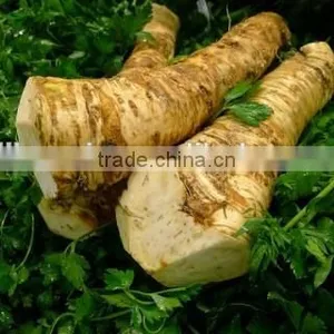 Dry Horseradish thumbnail-1