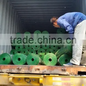 Hot Sale!!! Galvanized Welded Wire Mesh Fence Mesh/ Stainless Welded Wire Mesh Price/ 12 Gauge Welded Wire Mesh thumbnail-4