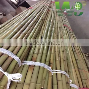 WY-213 2016 Hot Sale Natural Dry Strong Whole Part Moso Bamboo Poles for Agriculture and Construction thumbnail-3