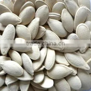 Pumpkin Seeds Color Sorter thumbnail-3