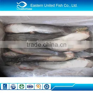 Hot Sale Wholesale Health Trachinotus Ovatus thumbnail-1
