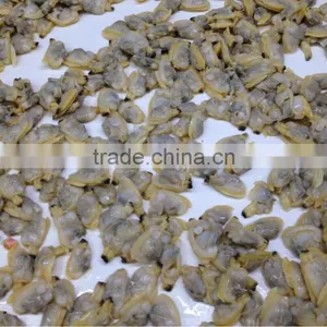 Bulk Pack Clam Meat thumbnail-1