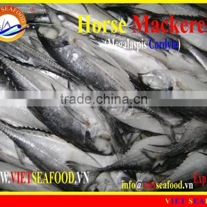 FROZEN W/R HORSE MACKEREL thumbnail-1