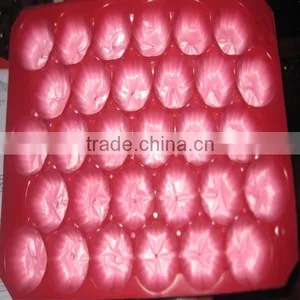 Popular Whole Kroger PP Plastic Fruit and Vegetable Display Trays thumbnail-5