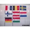 Hand Flag TB-F-790 thumbnail-1