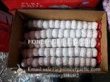 Chinese Fresh 5.5cm Normal White Garlic Small Packing In 10kg Box thumbnail-3
