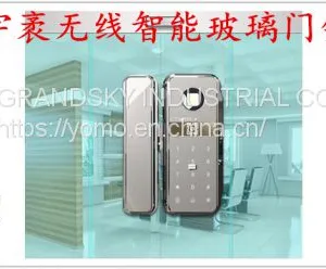 Hot Sale Intellegent Electronic Keypad and Fingerprint Door Locks W5A thumbnail-1