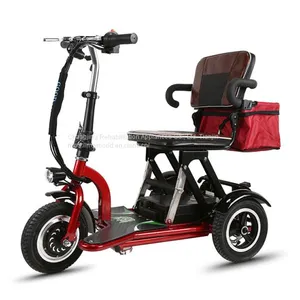 2019 New Products 300W Brushless 3 Wheel Electric Tricycles Foldable thumbnail-1