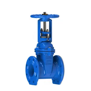DIN Standard DIN3325 DN100 DN50 PN16 Ductile Iron QT450 Flange Rising Stem Gate Valve Supplier Price Sluice Valve thumbnail-1