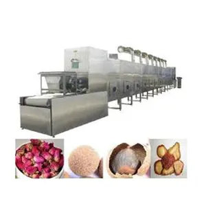DW Series Mesh Belt Dryer Fruit and Vegetable Dryer thumbnail-4