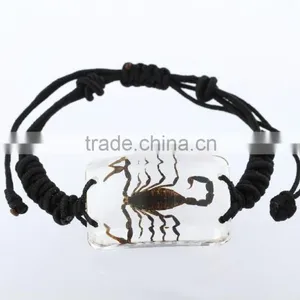 Latest Hippie Bracelet Beads as Promotion Gifts With Real Insect thumbnail-1