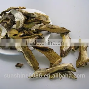 Dried Boletus Mushroom thumbnail-4