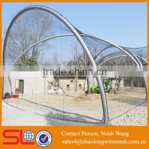 BV Company Good Price Stainless Steel Wire Rope Zoo Netting thumbnail-6