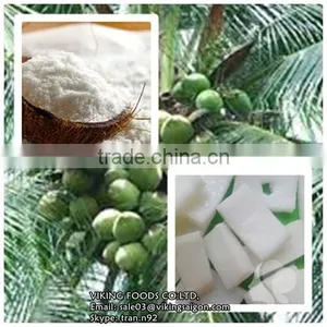 FROZEN COCONUT MILK & OTHER COCONUT PRODUCTS - VIETNAM thumbnail-1