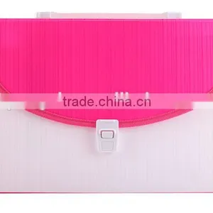 2016 Factory Price PP Folder, 12 Pocket Folder, Organ Bag thumbnail-4