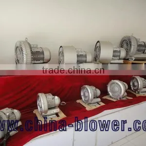 Vortex Air Pump Ring Blower thumbnail-6