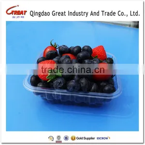 Clear Blister Fruit Tomato Plastic Packaging Tray thumbnail-1