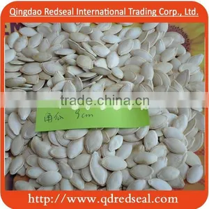 Hot Sale Snow White Pumpkin Seeds 2016 thumbnail-1