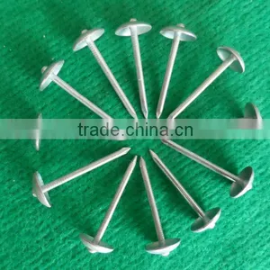 Common Iron Nail Prices Factory thumbnail-1