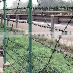 Hot Dipped Galvanized and Powder Coating Barbed Wire Hot Sale thumbnail-3