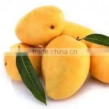 Best Quality Fresh Mango thumbnail-2