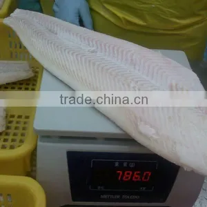 Frozen Pacific Halibute Fillet thumbnail-1