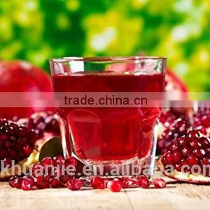 Pomegranate Juicer Commercial Grade Pomegranate and Citrus Manual Juice Press thumbnail-3