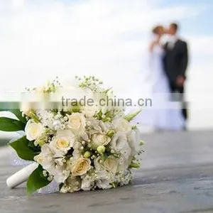 Wedding Planner Machine thumbnail-1