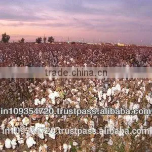 Amit Cotton Industries - INDIA thumbnail-2