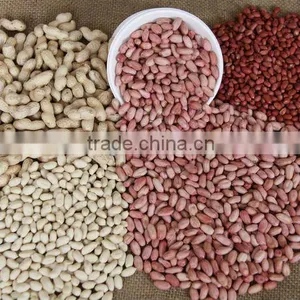 2013 Peanut/peanut Kernel thumbnail-1